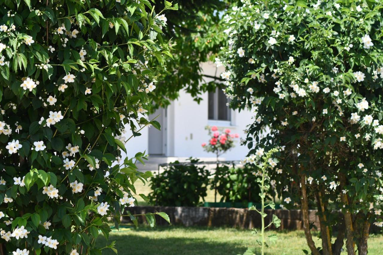 מלון Međugorje Casa Del Pellegrino M&A - Ostojici מראה חיצוני תמונה